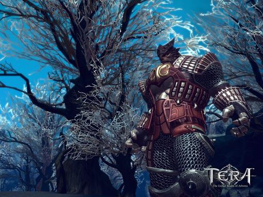 TERA: The Exiled Realm of Arborea - Игровые обои. Выпуск №01